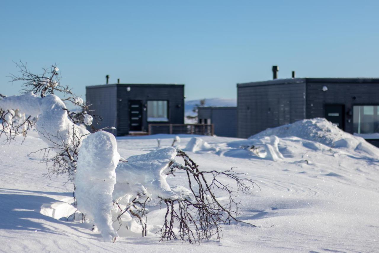 Top Star Saariselkae - Arctic Glass Cubes Exterior foto